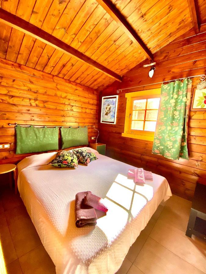 Canary Wild House 2 * Carrizal