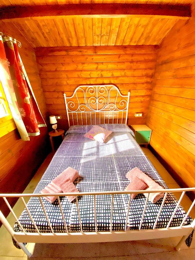Canary Wild House 2 *