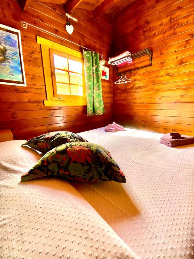 Canary Wild House 2 Villa Carrizal
