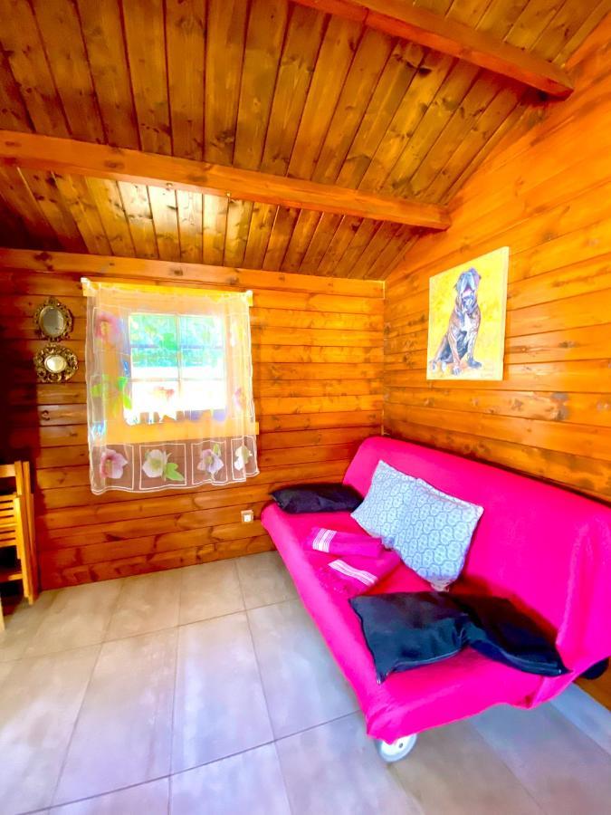 Villa Canary Wild House 2 Carrizal
