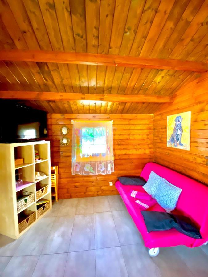 Canary Wild House 2 Carrizal
