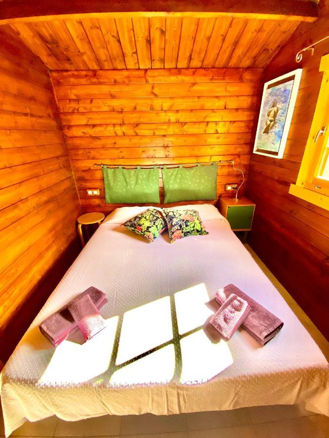 Canary Wild House 2 * Carrizal
