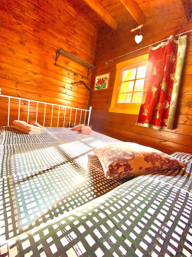 Canary Wild House 2 Villa Carrizal