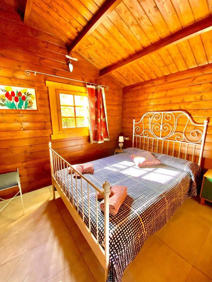Canary Wild House 2 Carrizal
